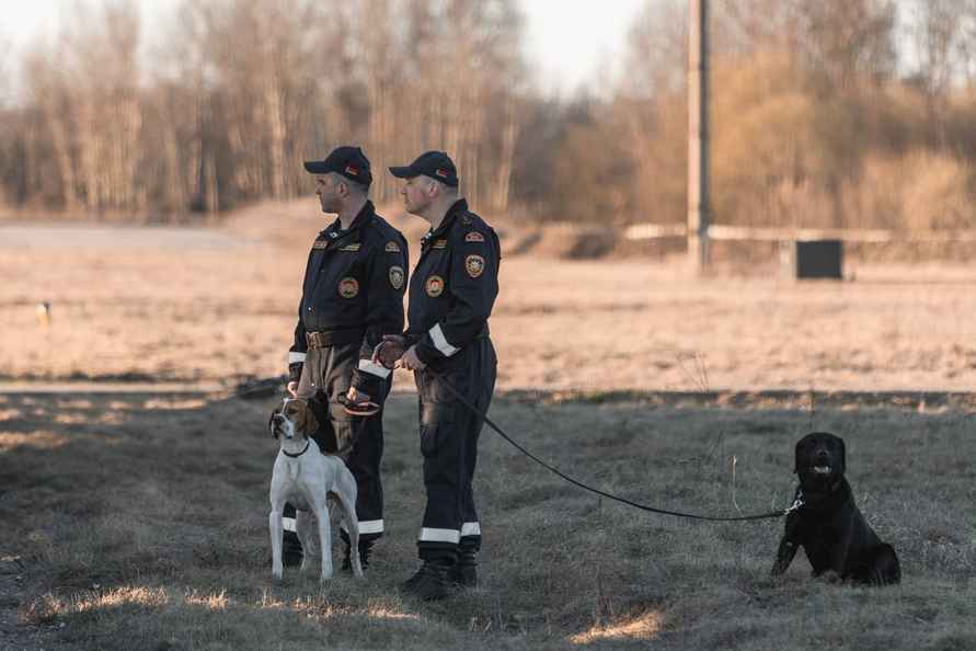 Беларусь отправила на помощь пострадавшей от землетрясения Мьянме кинологов и десятки спасателей