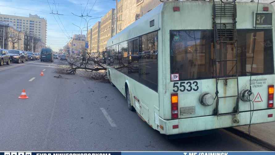 Фото: ГАИ Минска