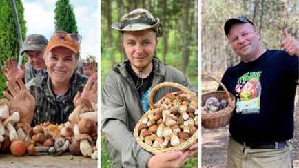 Будет ли «грибной бум» в Беларуси в 2025 году? Опытные грибники ответили, когда ждут первые боровики, лисички и сморчки
