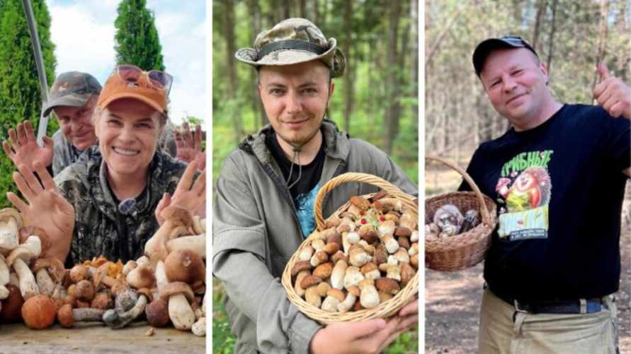 Будет ли "грибной бум" в Беларуси в 2025 году? Опытные грибники ответили, когда ждут первые боровики, лисички и сморчки