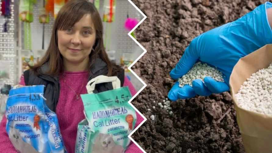 Фотоколлаж: Shutterstock и архив Екатерины Ямочки