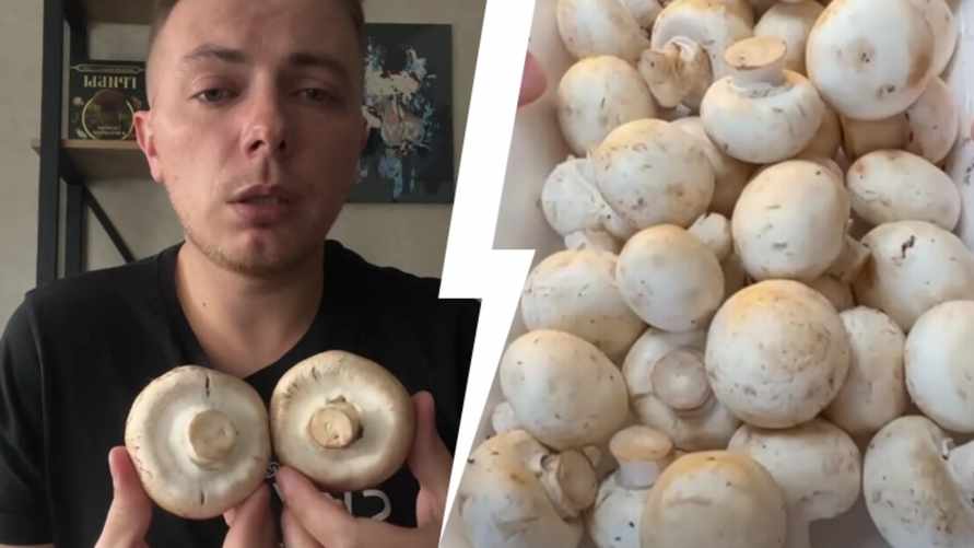 "Серьезный канцероген" — Белорусский грибник рассказал, когда не стоит есть шампиньоны. А когда безопасны?