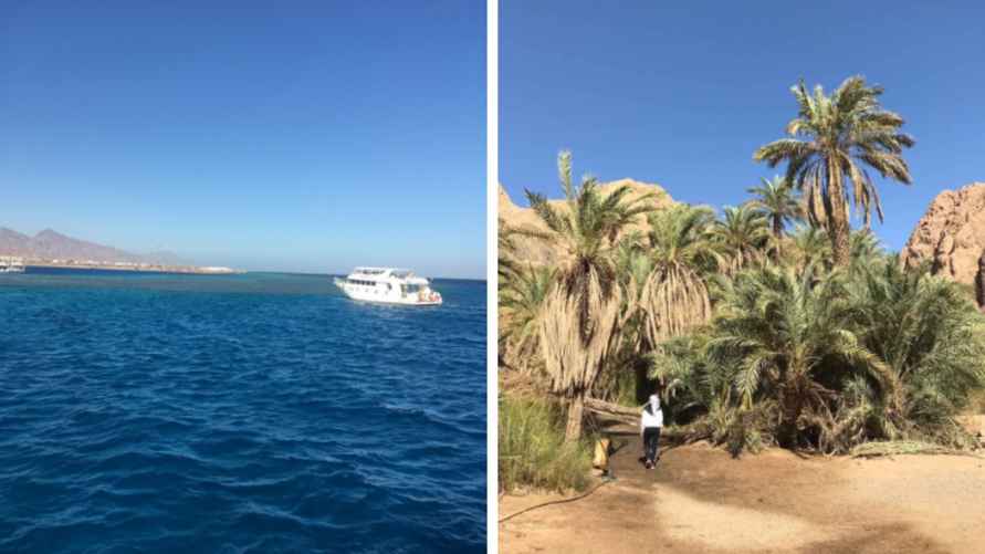 Фото Вероники Семенча