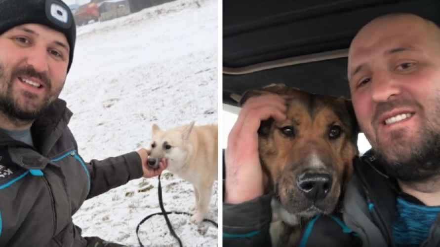 Фотоколлаж: Telegram-канал ne_kinolog8