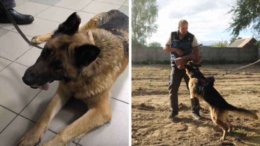 Фото: архив Дениса Буркевича