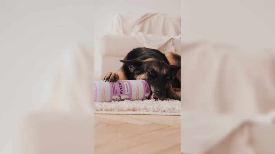 Волковысский мясокомбинат выпустил колбасу для собак. С какими вкусами?