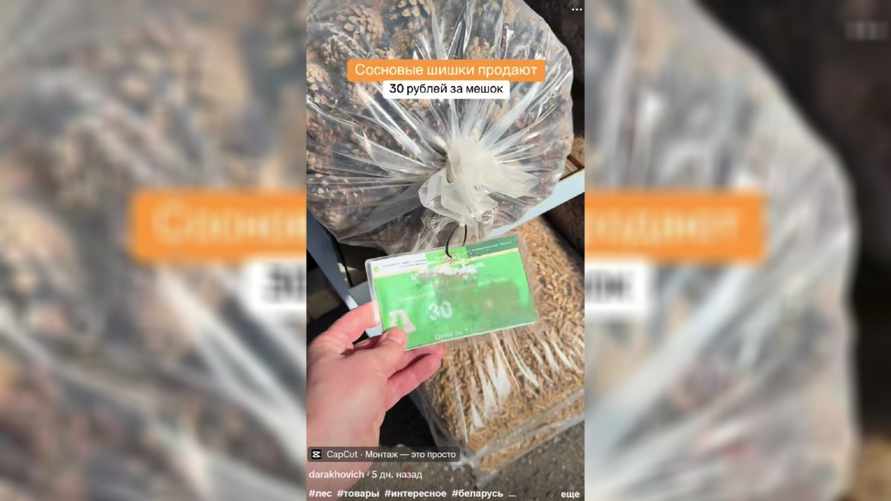 «А на фига?» — Белорусам предложили купить шишки по 30 рублей. Зачем — мнения в TikTok разделились