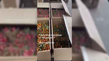 На рынке под Минском нашли тюльпаны по 1,5 рубля