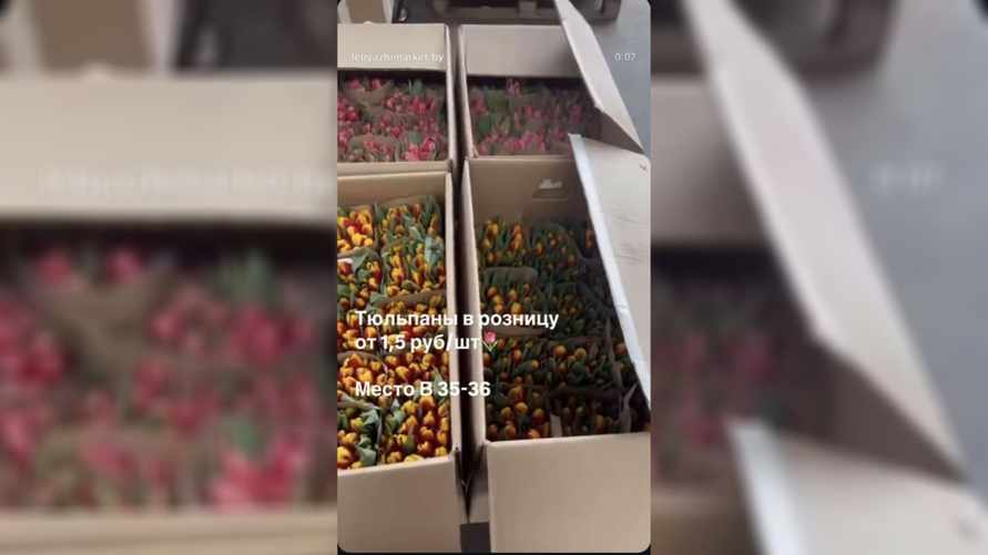На рынке под Минском нашли тюльпаны по 1,5 рубля