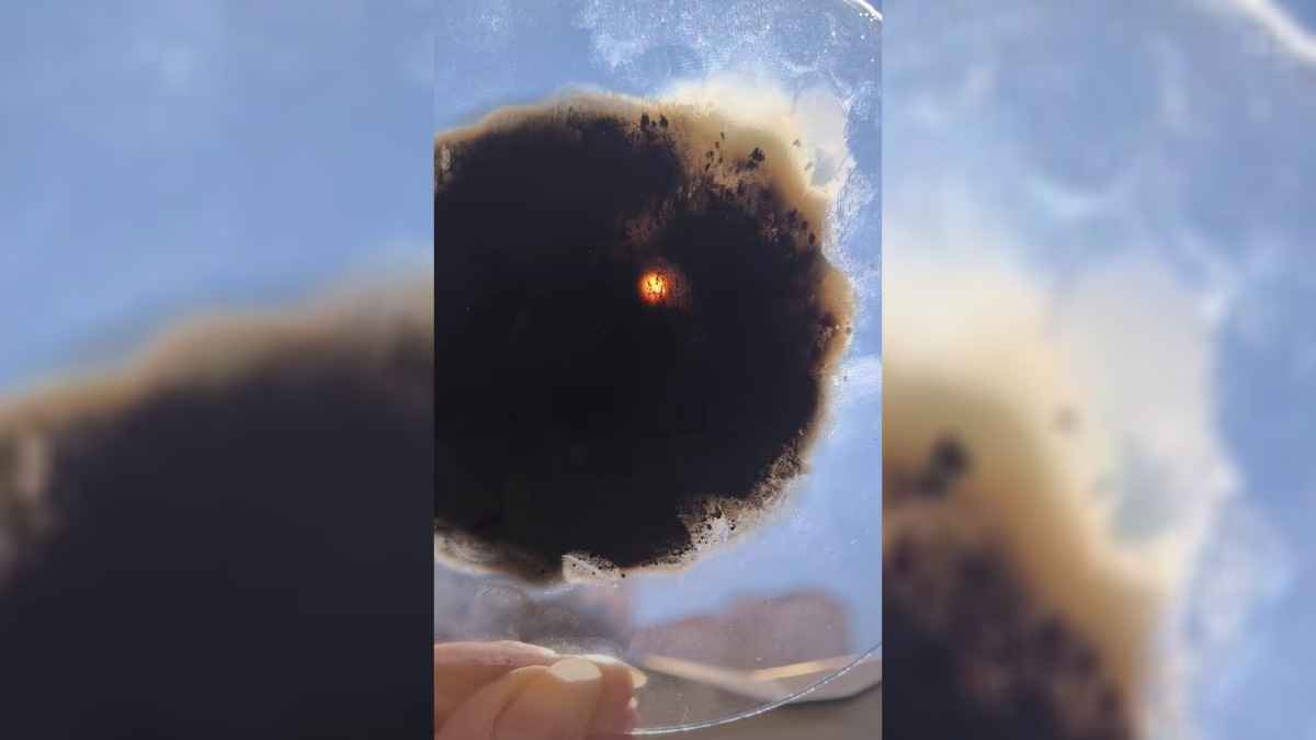 «Кажется, нас кинули» — Белорусы поделились в TikTok первыми впечатлениями от солнечного затмения