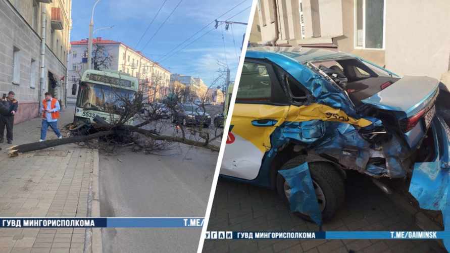 В Минске троллейбус врезался в дерево, а трамвай - в легковушку