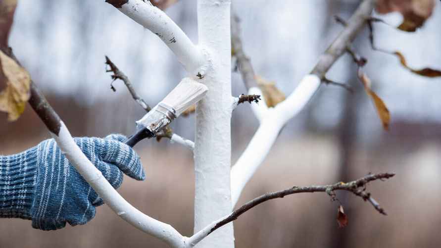 Фото: Shutterstock