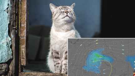 «Хвост сильно похолоднел» — Синоптики пообещали белорусам «декабрьскую» погоду в начале апреля