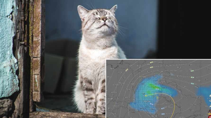 «Хвост сильно похолоднел» - Синоптики пообещали белорусам «декабрьскую» погоду в начале апреля