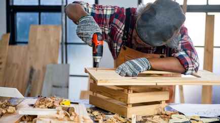 Учёные в Китае придумали, как сделать суперпрочные доски из обычной древесины. Что нужно сделать?