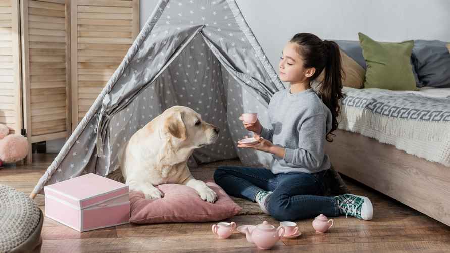 Фото иллюстрационное