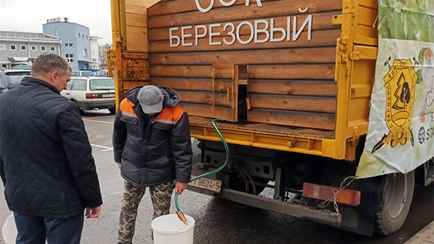 Теперь точно. Минский лесхоз назвал цены и адреса продажи берёзового сока. Что в других регионах?