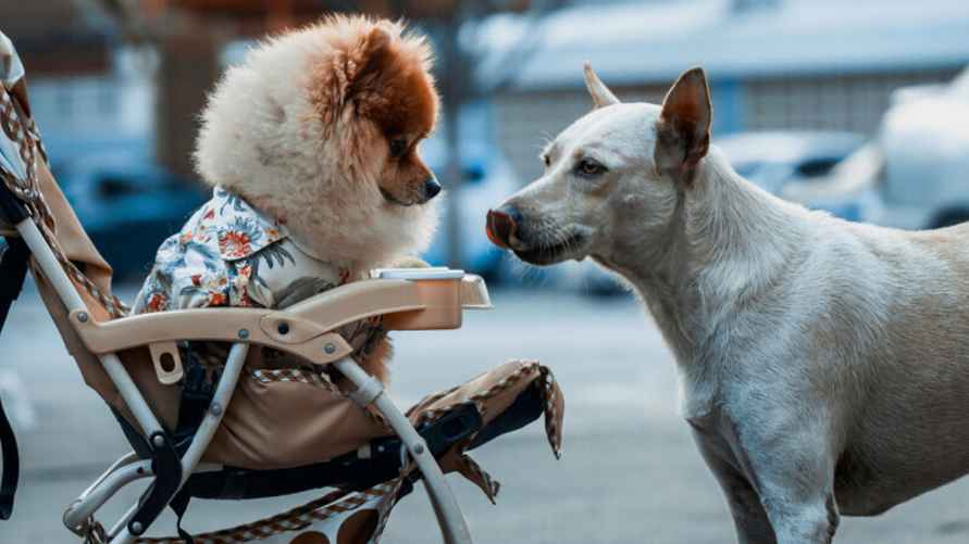 Фото иллюстрационное