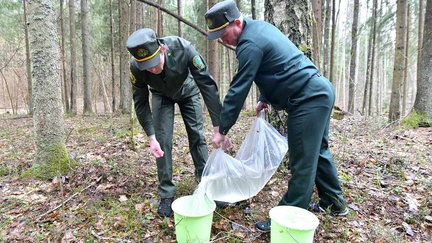 Фото иллюстрационное: "Витебские вести"