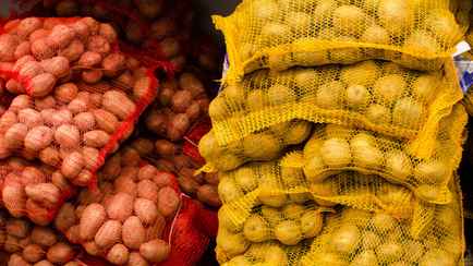 Совмин Беларуси ограничил свободный экспорт картофеля. Зачем и на какой срок?