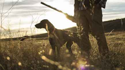 В Беларуси объявили старт весеннего сезона охоты на птицу. Когда и на кого разрешили идти в лес?