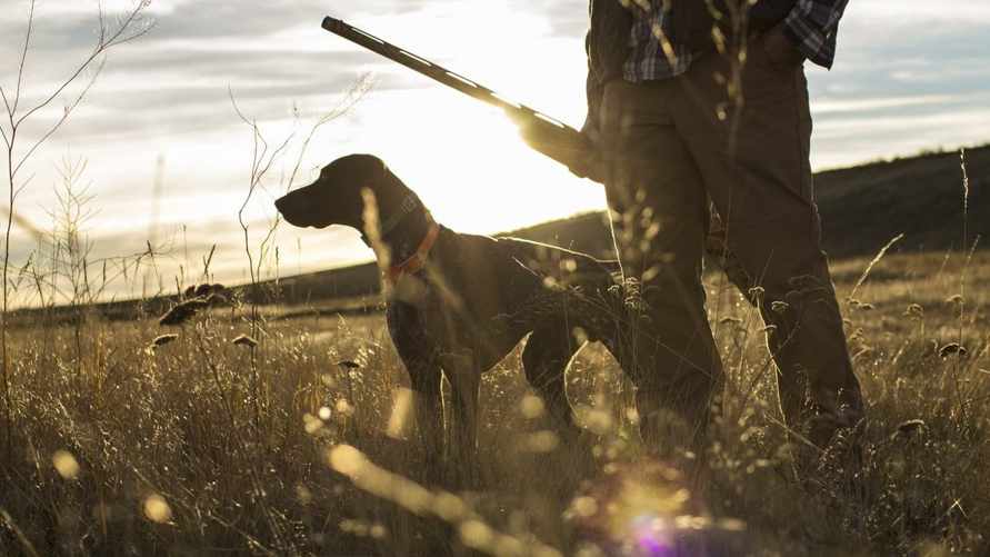 Фото иллюстрационное