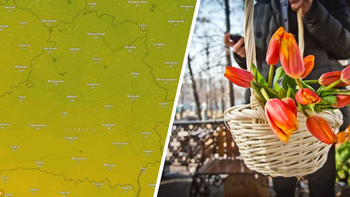 «Ветер ослабнет, а тепло – нет» - Синоптики рассказали, где в праздничные выходные ждать +18°С, а где - гололёд