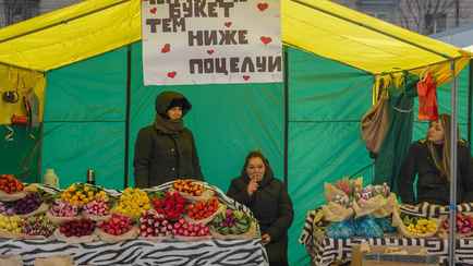 Где в Минске купить тюльпаны от 2 рублей? Нашли несколько вариантов