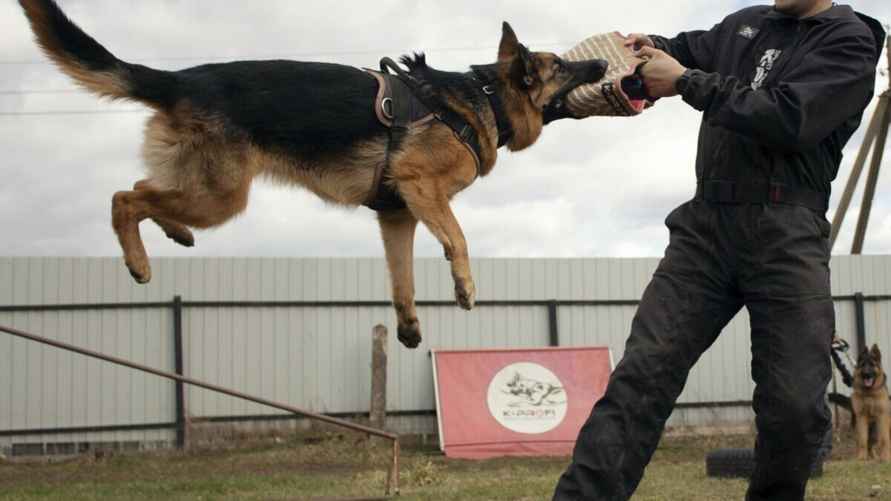 Фото: архив Дениса Буркевича