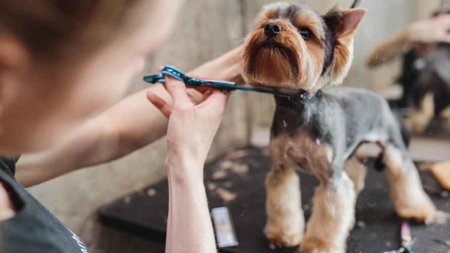 Фото иллюстрационное