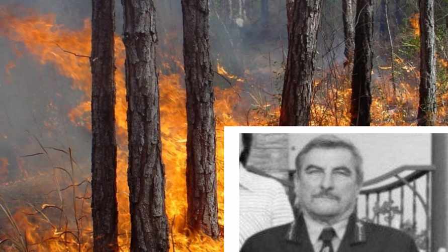 На Брестчине на тушении лесного пожара погиб сотрудник лесхоза