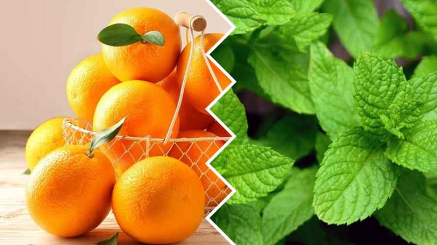 Фото иллюстрационное