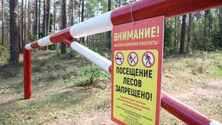 Минлесхоз ввёл первые запреты и ограничения на посещение лесов. Где и за что белорусам грозит штраф до 1260 рублей?