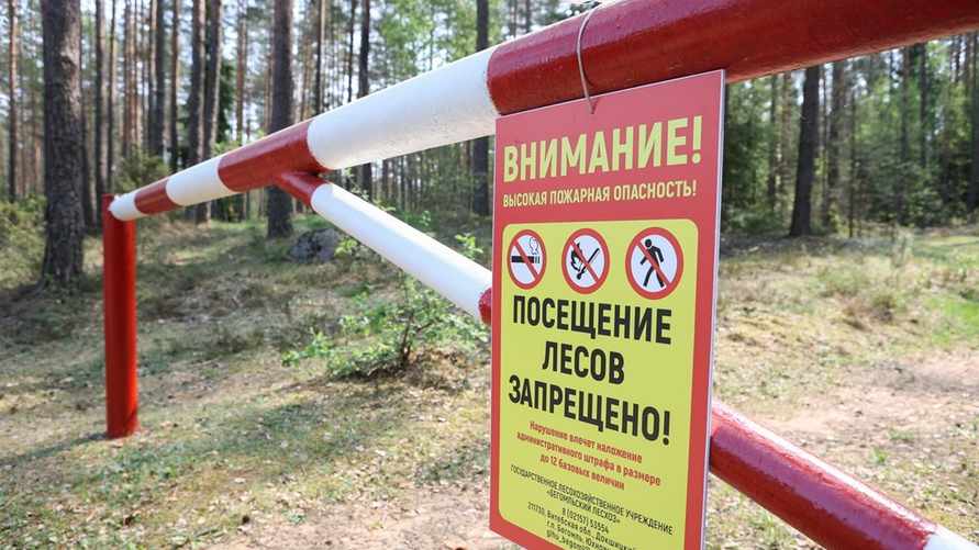 Фото иллюстрационное: sb.by