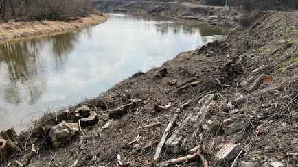 «Выглядит немного некрасиво» — В Польше землевладельцы пожаловались на массовую вырубку деревье на границе с Беларусью