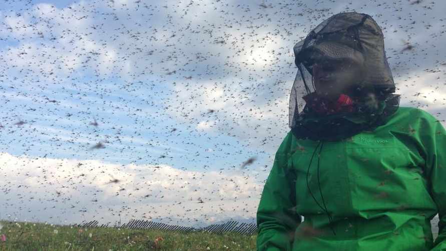 Фото иллюстрационное