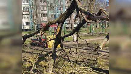 В Бобруйске ребёнок в детском саду получил перелом из-за сильного порыва ветра