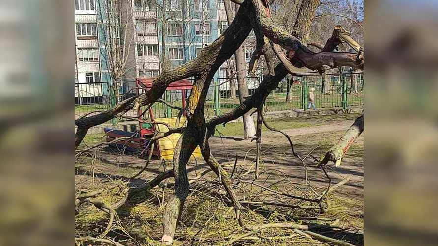 Фото: МЧС РБ