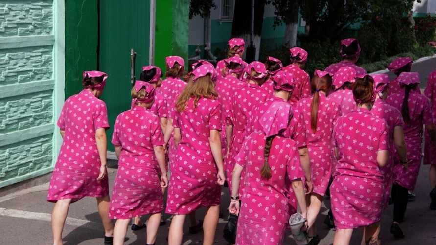 Фото иллюстративное: Sputnik