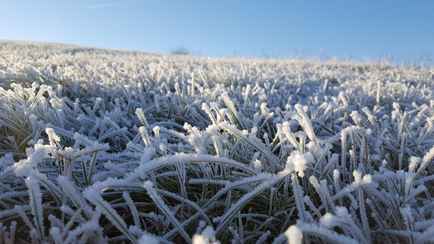До -5°С. Белгидромет объявил штормовое предупреждение на 3 дня