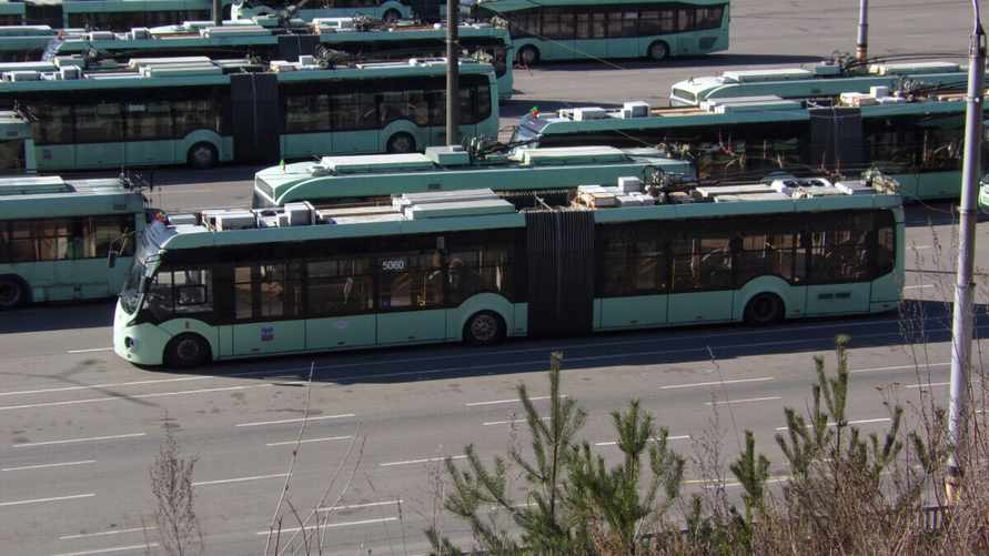 Фото: transphoto.org