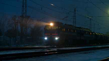 Под Витебском пассажирский поезд из Смоленска сбил лося и опоздал на 1,5 часа