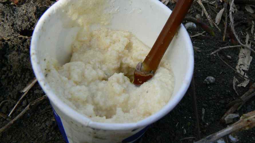 Фото иллюстрационное