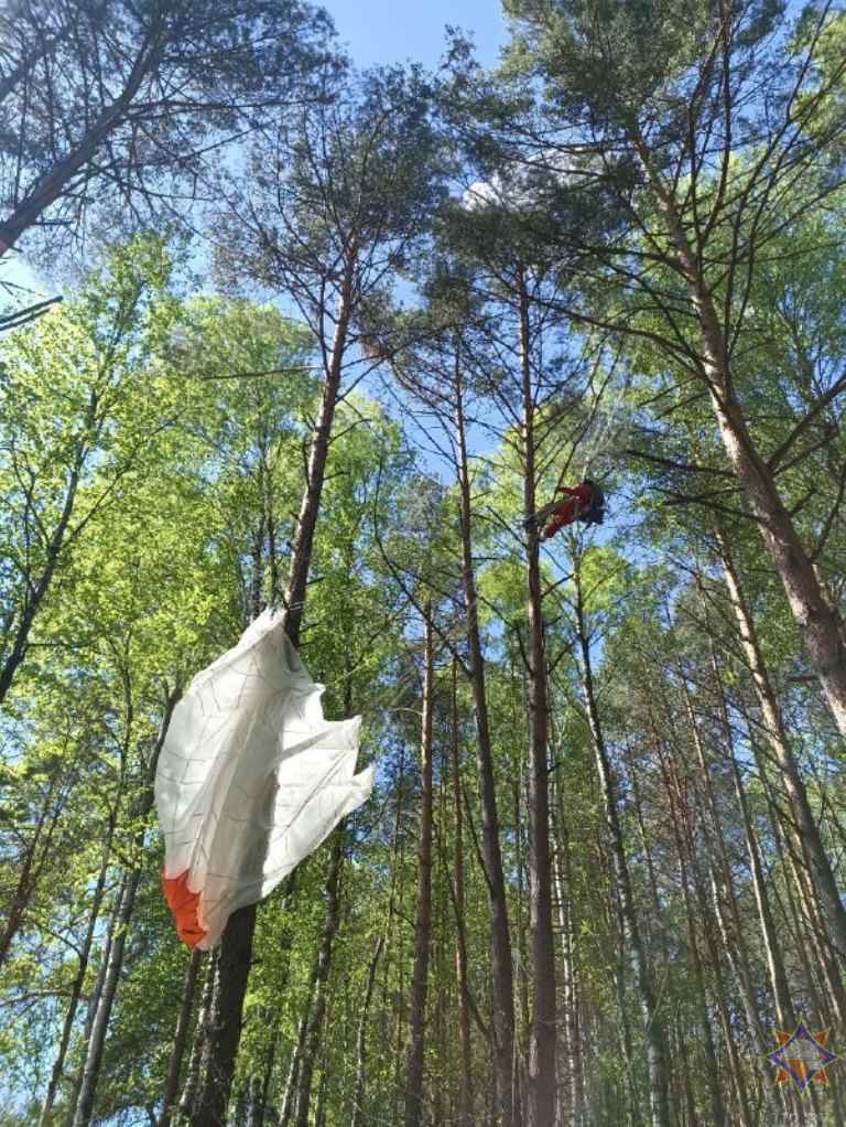Спасатели показали, как снимали застрявшую на дереве на высоте 12 метров парашютистку под Малоритой