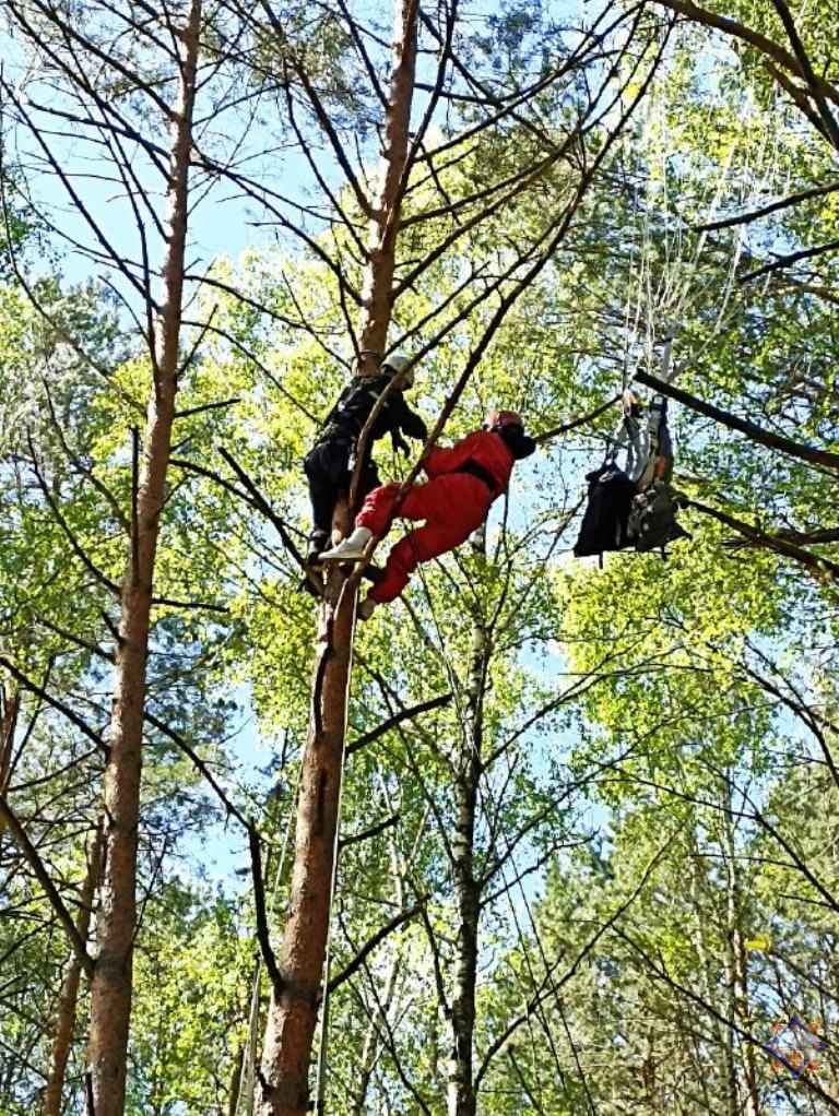 Спасатели показали, как снимали застрявшую на дереве на высоте 12 метров парашютистку под Малоритой