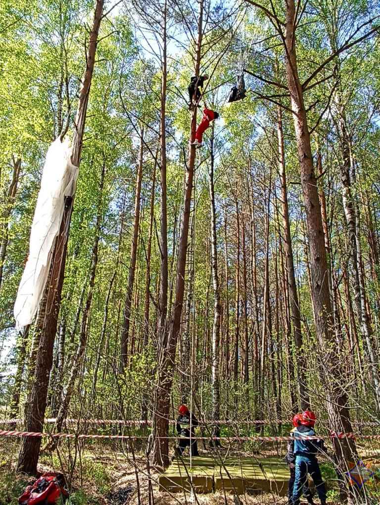 Спасатели показали, как снимали застрявшую на дереве на высоте 12 метров парашютистку под Малоритой