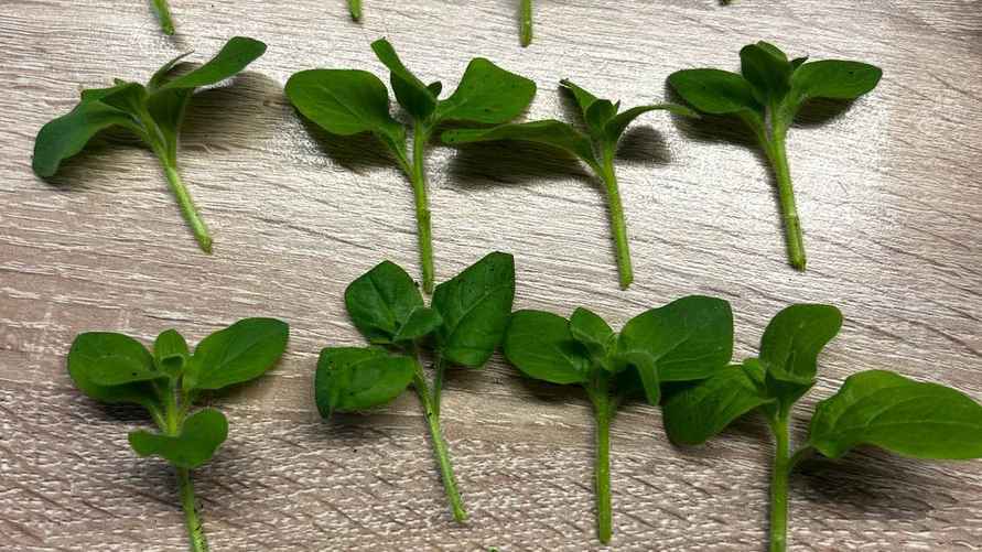 Фото: архив Е. Ямочки