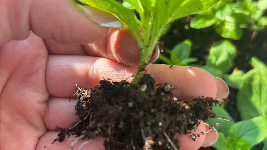 Фото: архив Е. Ямочки