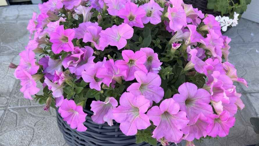 Фото: архив Е. Ямочки