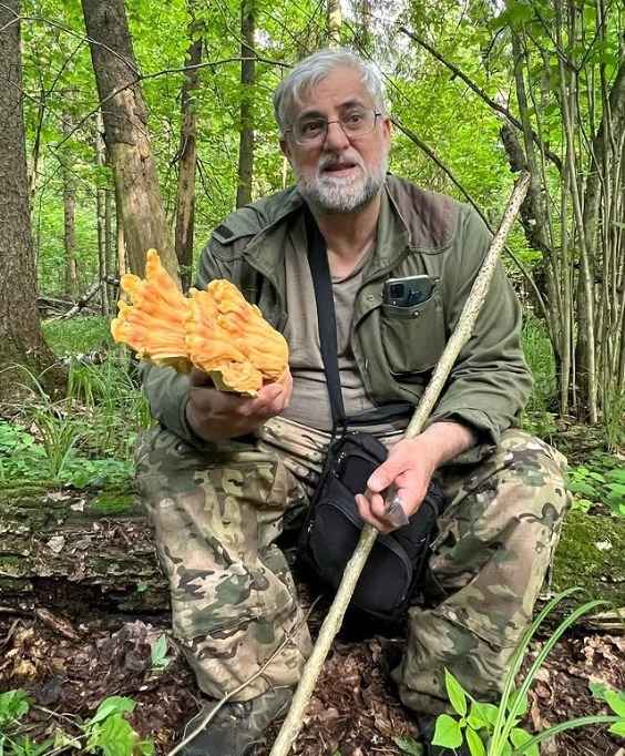 В сморчках есть токсины, "эквивалентные ракетному топливу"? Микологи из Беларуси и Италии объяснили, нужно ли их всегда отваривать